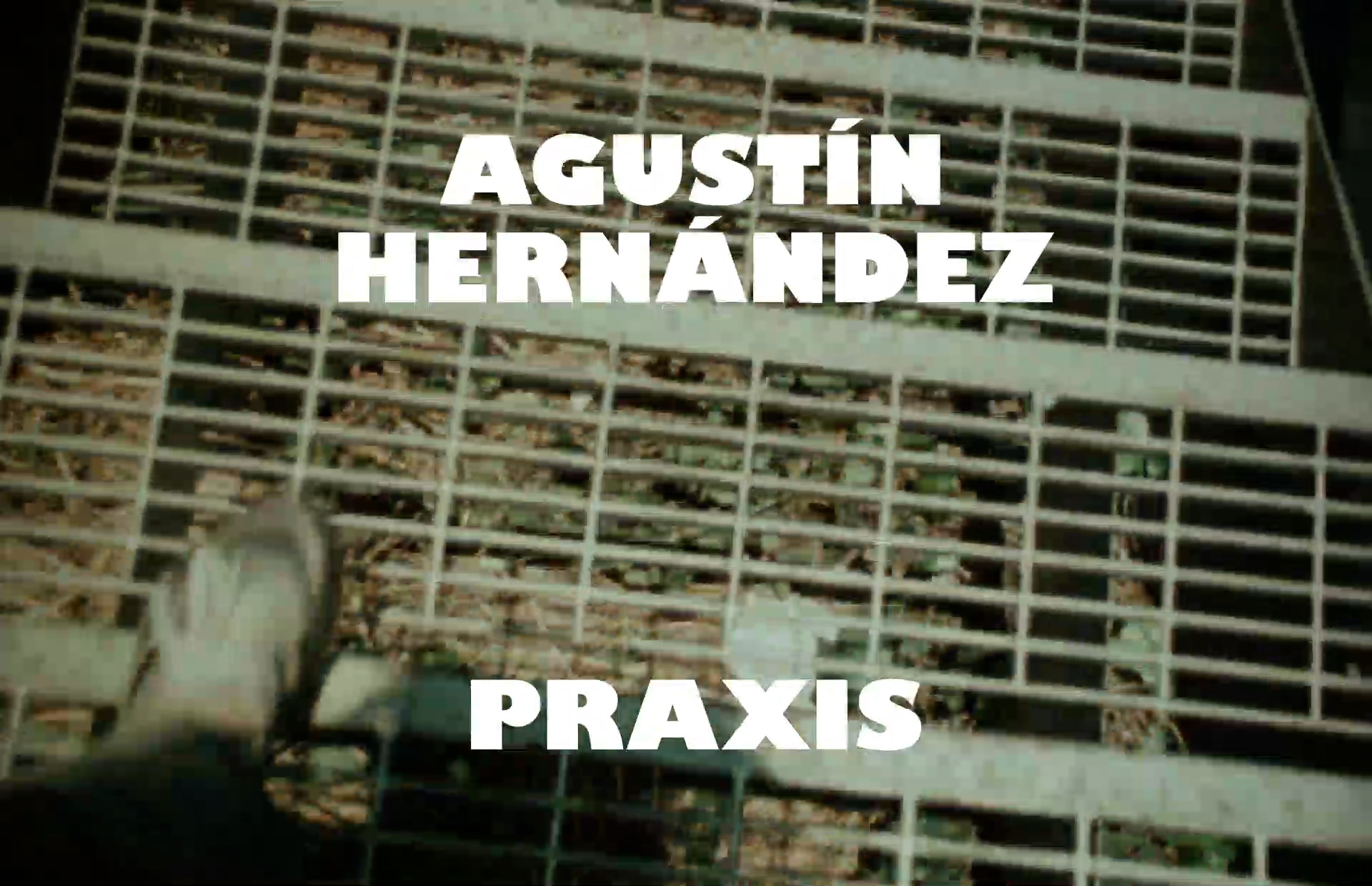 Agustin Herández, Praxis
